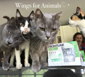 Los Amigos de Bas y Daniel Argentina