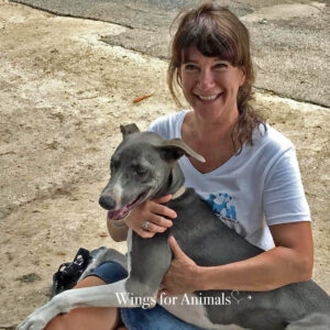 Curaçao Animal Rights Foundation