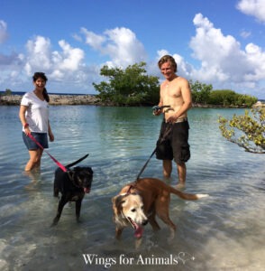 Curaçao Animal Rights Foundation