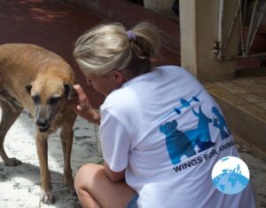 Curaçao Animal Rights Foundation