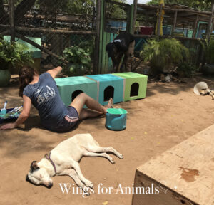 Every Living Thing Tanzania