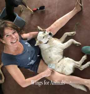 Every Living Thing Tanzania