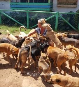 Every Living Thing Tanzania