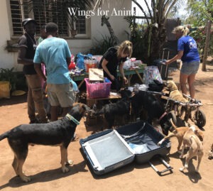 Every Living Thing Tanzania