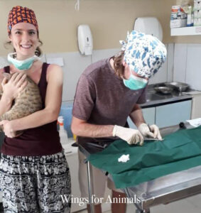 Phoenix Foundation Brazil