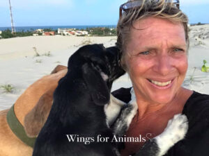 Fenix Foundation Brazil