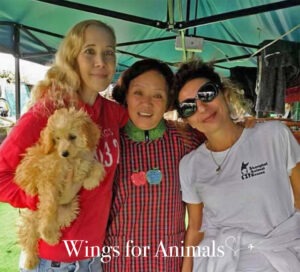 Shanghai Animal Rescue