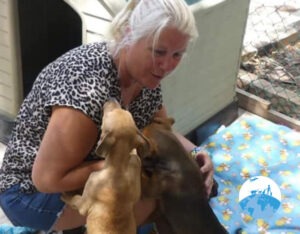 Domestic Rescue Animal Group