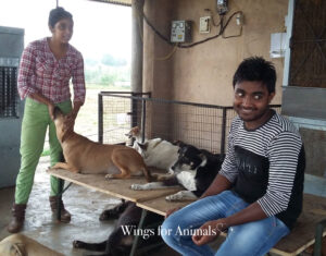 Delhi Tails of Compassion