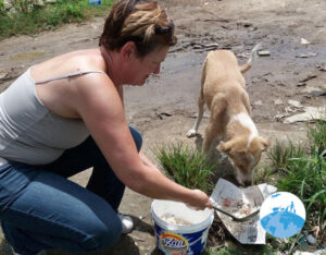 Surinam Henk Abrahamse Foundation