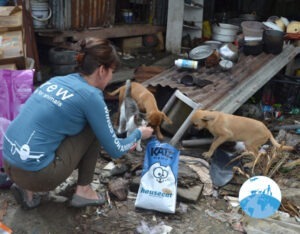 Surinam Henk Abrahamse Foundation