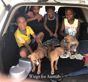 Surinam Henk Abrahamse Foundation