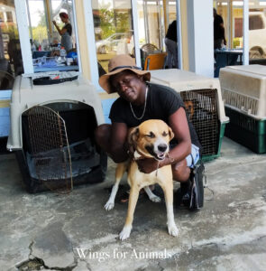 Surinam Henk Abrahamse Foundation