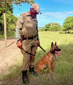 Dan, a dog with a cause