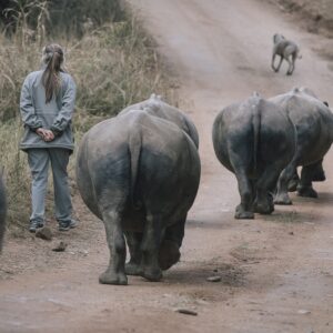Care for Wild Rhino