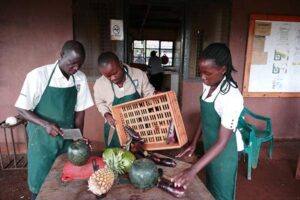 Ngamba Island Chimpanzee Sanctuary