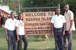 Ngamba Island Chimpanzee Sanctuary