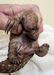 Umoya Khulula Wildlife Centre