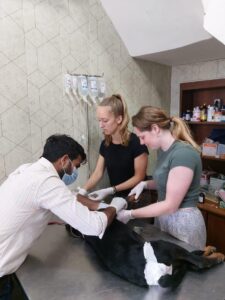 People for Animals Trust