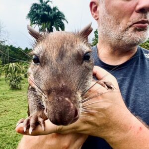 Suriname Wildlife Sanctuary - 3
