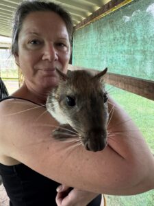 Suriname Wildlife Sanctuary - 5