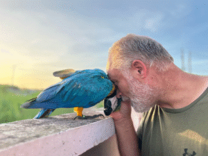 Suriname Wildlife Sanctuary - 6