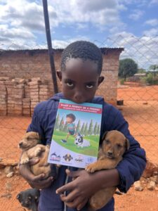 Hoedspruit Animal Outreach